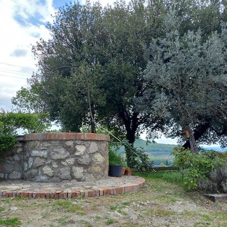 Agriturismo Riparossa Allerona ภายนอก รูปภาพ
