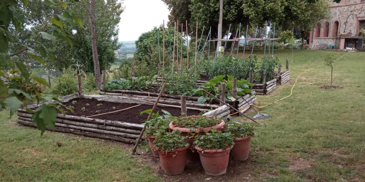 Agriturismo Riparossa Allerona ภายนอก รูปภาพ