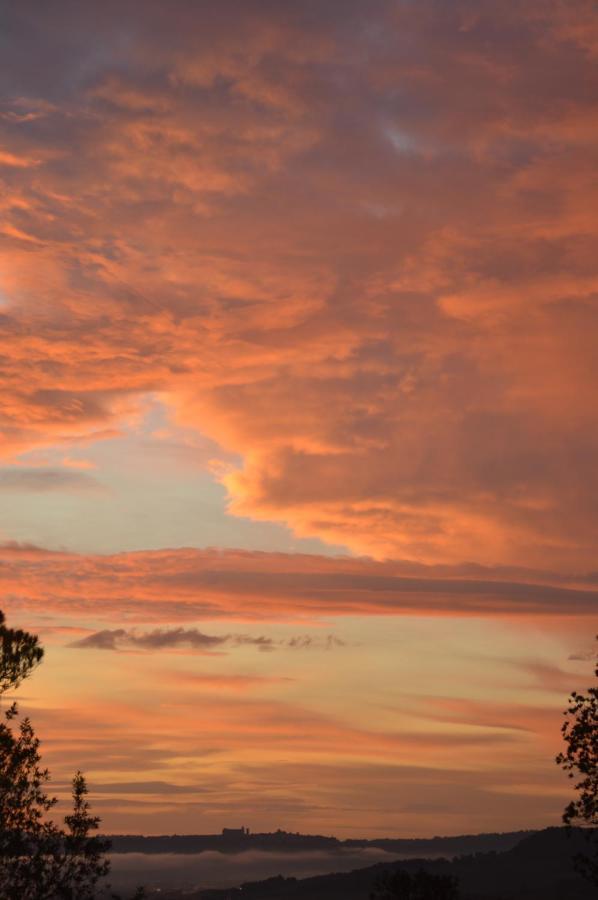 Agriturismo Riparossa Allerona ภายนอก รูปภาพ