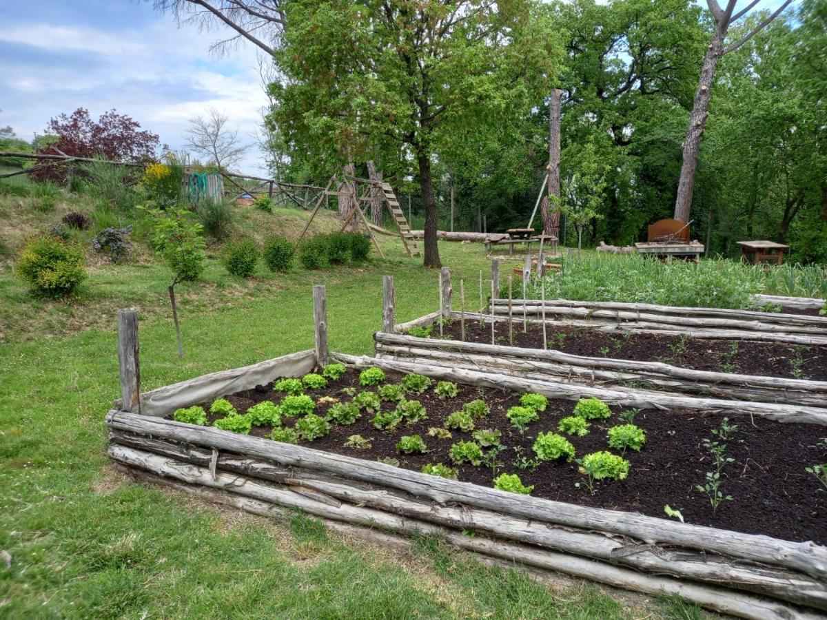 Agriturismo Riparossa Allerona ภายนอก รูปภาพ