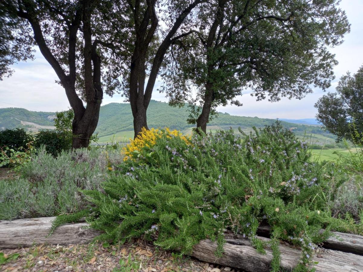 Agriturismo Riparossa Allerona ภายนอก รูปภาพ
