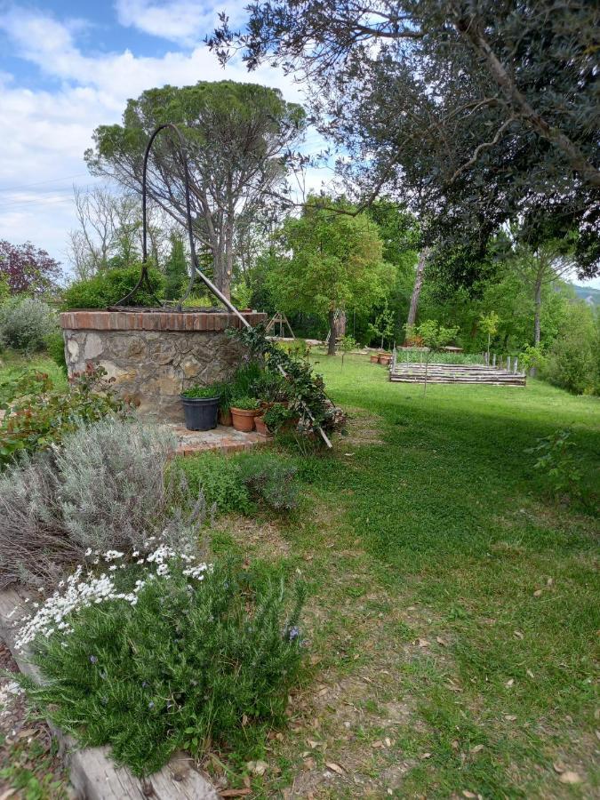 Agriturismo Riparossa Allerona ภายนอก รูปภาพ