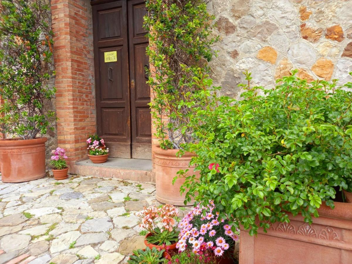Agriturismo Riparossa Allerona ภายนอก รูปภาพ
