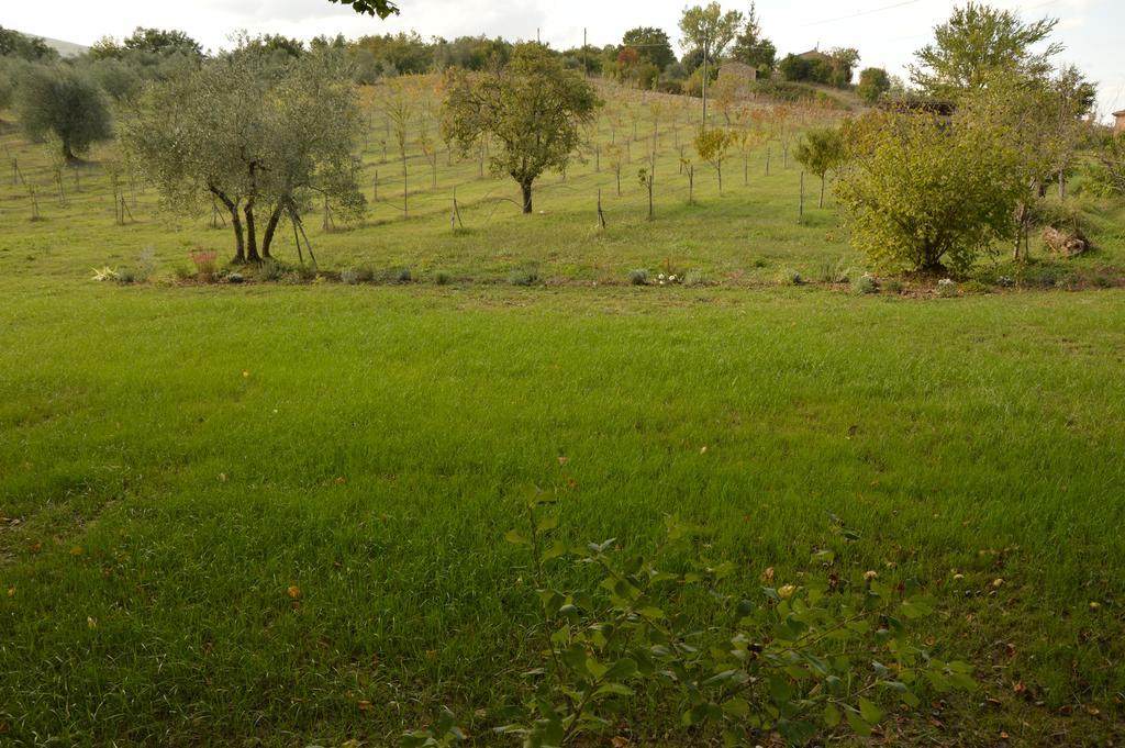 Agriturismo Riparossa Allerona ภายนอก รูปภาพ