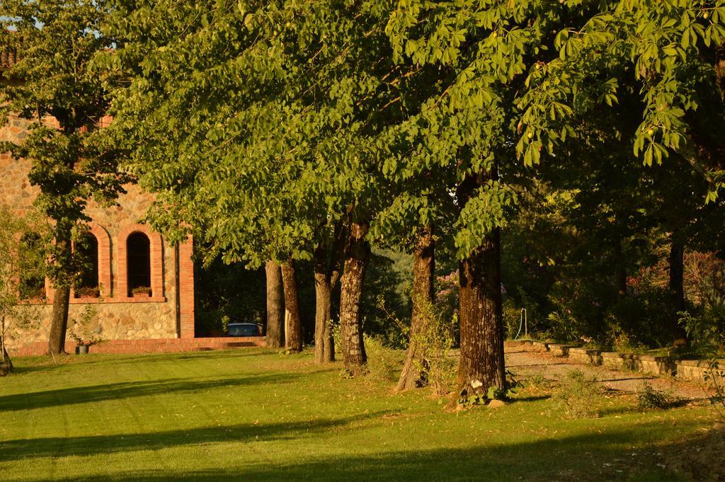 Agriturismo Riparossa Allerona ภายนอก รูปภาพ
