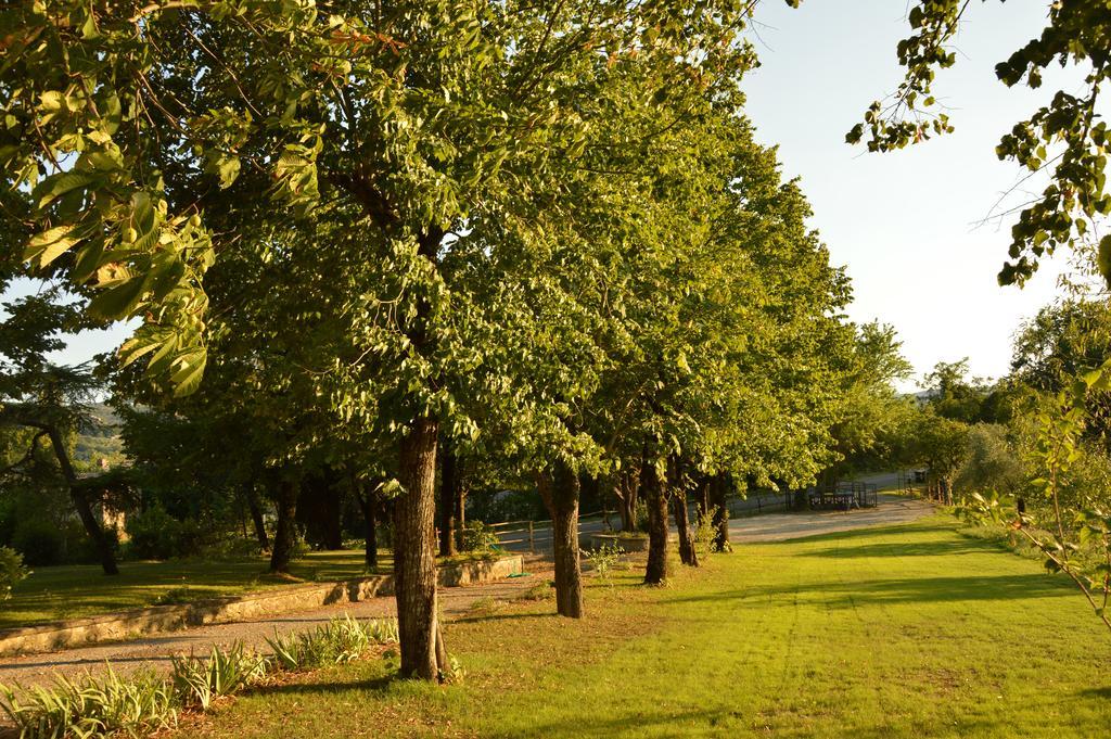 Agriturismo Riparossa Allerona ภายนอก รูปภาพ