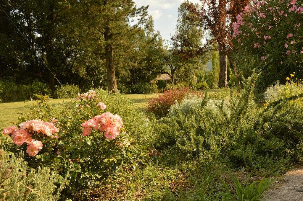 Agriturismo Riparossa Allerona ภายนอก รูปภาพ