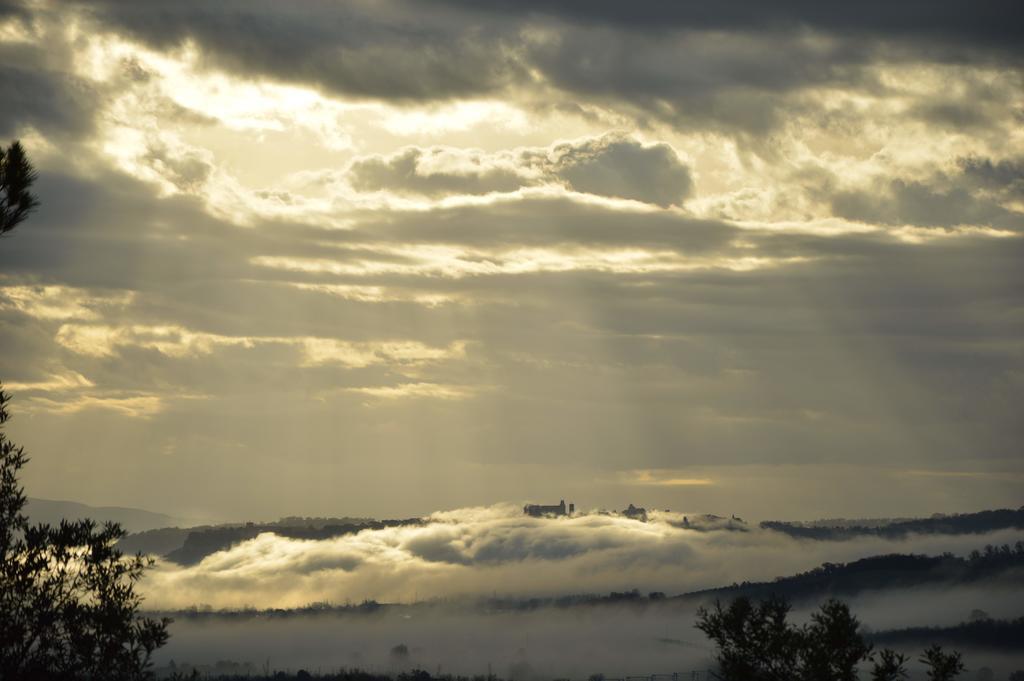 Agriturismo Riparossa Allerona ภายนอก รูปภาพ