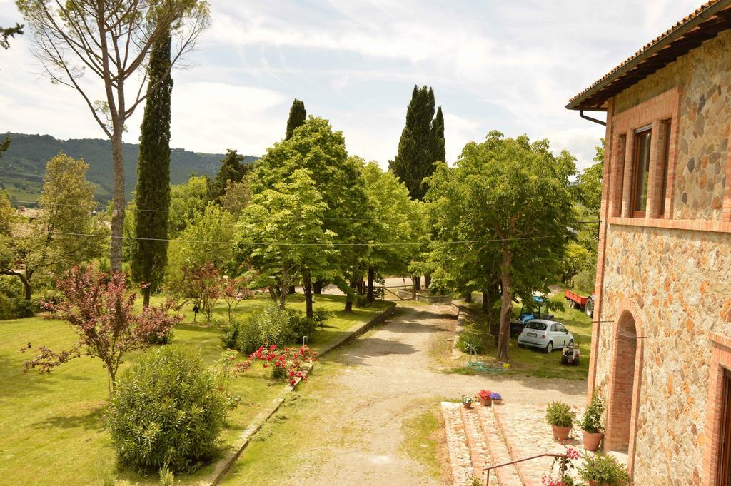 Agriturismo Riparossa Allerona ภายนอก รูปภาพ