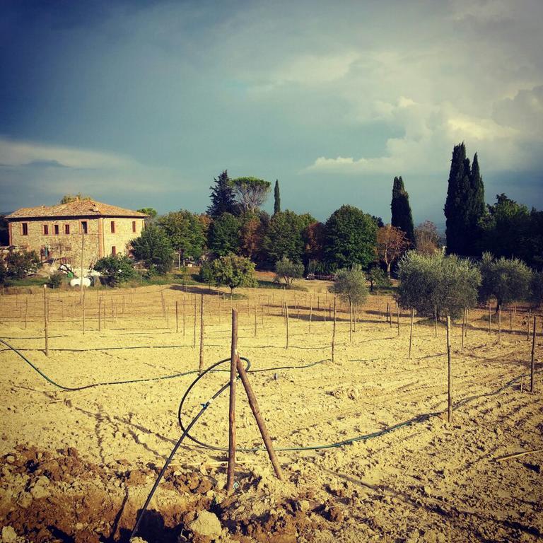 Agriturismo Riparossa Allerona ภายนอก รูปภาพ