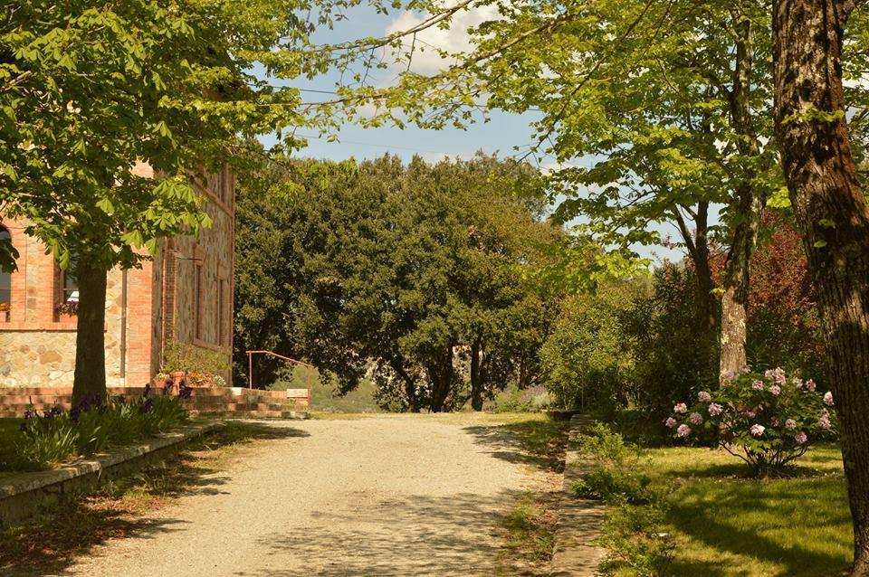 Agriturismo Riparossa Allerona ภายนอก รูปภาพ