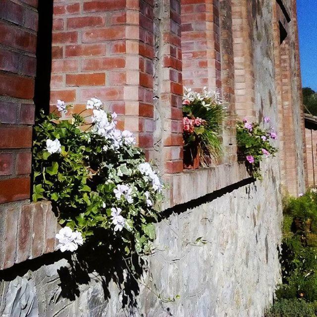 Agriturismo Riparossa Allerona ภายนอก รูปภาพ