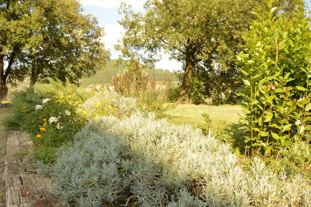 Agriturismo Riparossa Allerona ภายนอก รูปภาพ