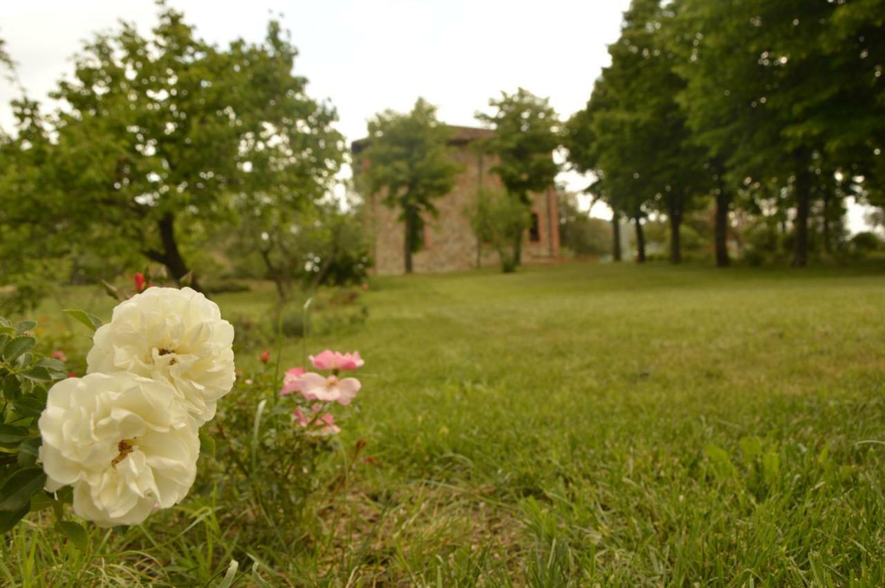 Agriturismo Riparossa Allerona ภายนอก รูปภาพ