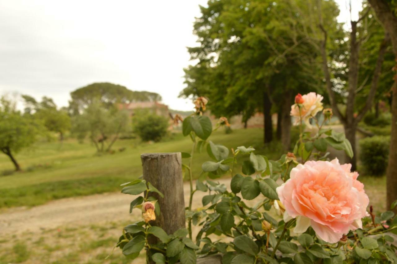 Agriturismo Riparossa Allerona ภายนอก รูปภาพ